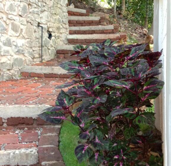 בית מלון כפרי 3arch Eco Cottage Ella