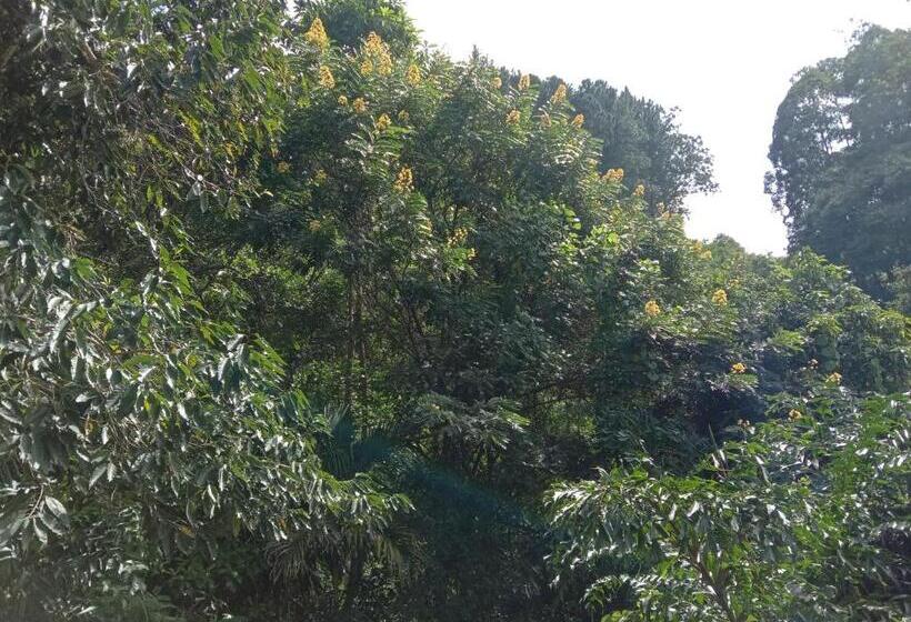 בית מלון כפרי 3arch Eco Cottage Ella