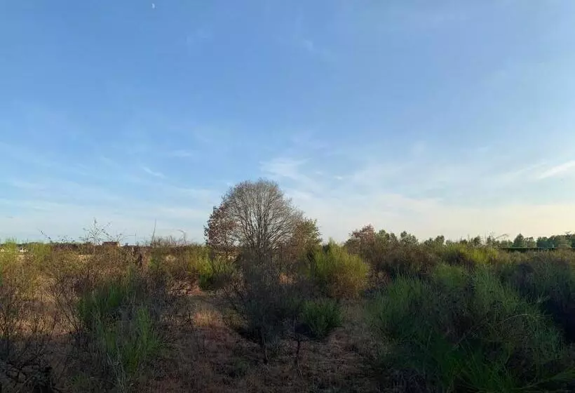 Astrotel Romorantin Lanthenay Soirée étape