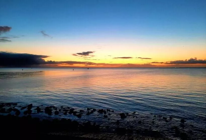 Havenhotel At Sea Texel