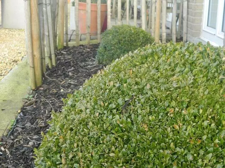 Boutique Hotel Butler