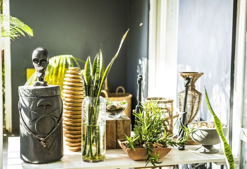 בית מלון כפרי Concierge