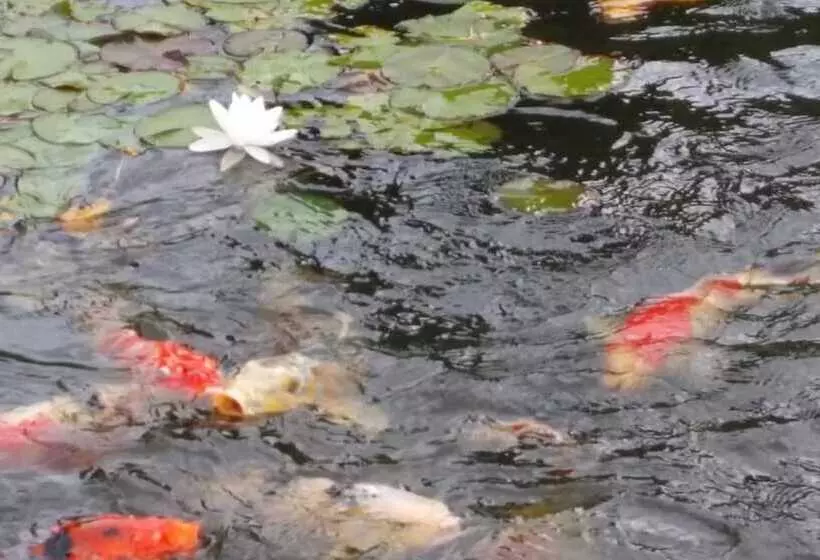 Logis Hotel Des Grands Vins