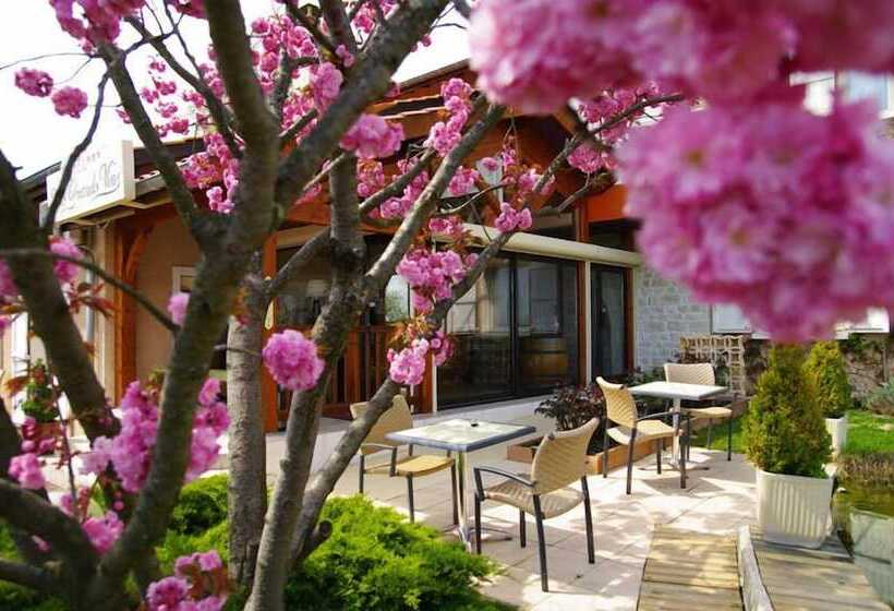 Logis Hotel Des Grands Vins