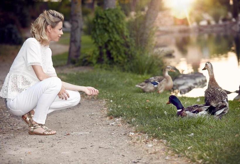 Отель Spa Restaurant Domaine Du Moulin