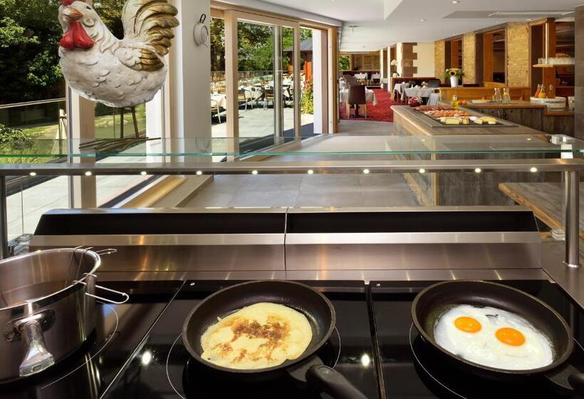 Отель Spa Restaurant Domaine Du Moulin