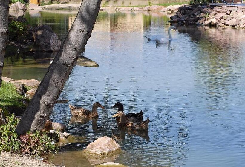 Отель Spa Restaurant Domaine Du Moulin