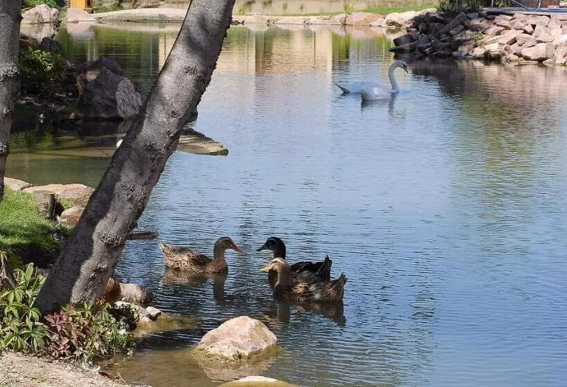 בית מלון כפרי Spa Restaurant Domaine Du Moulin