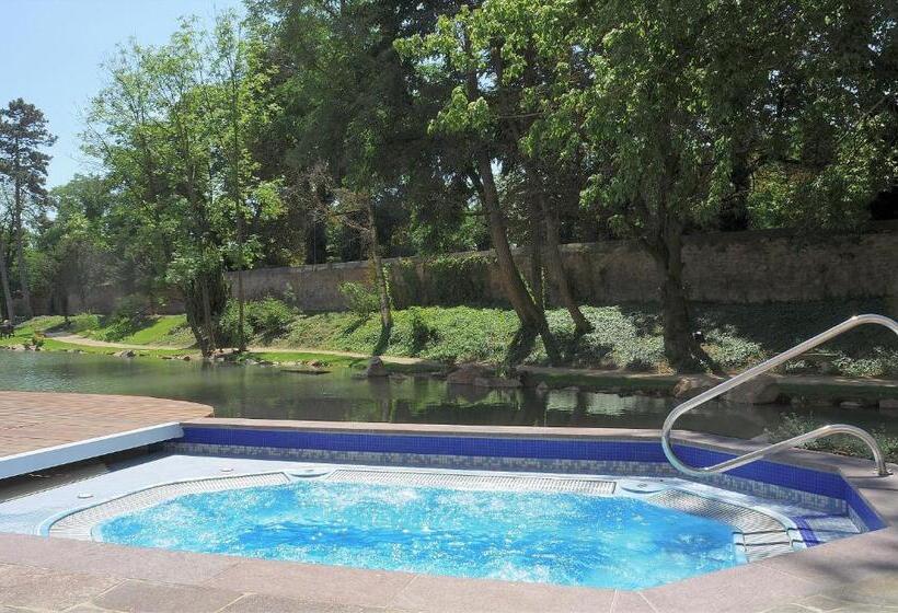 Отель Spa Restaurant Domaine Du Moulin