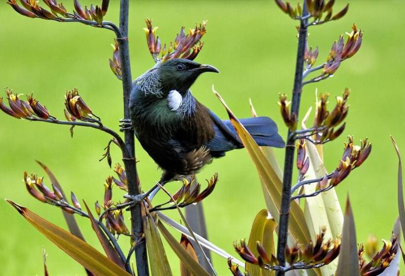 Taupo Debretts Spa Resort