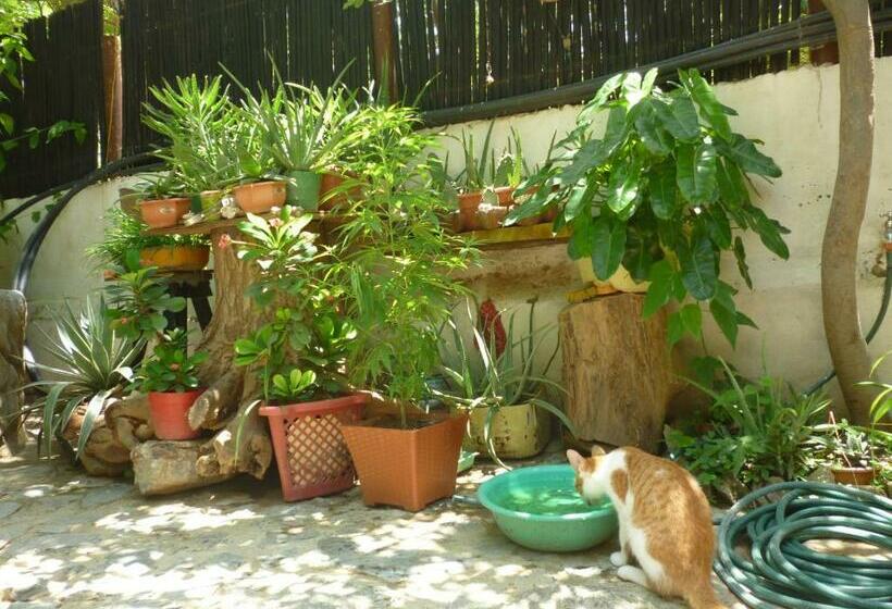 פנסיון Casa Bella