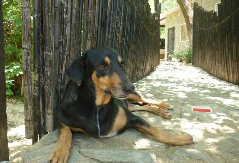 פנסיון Casa Bella