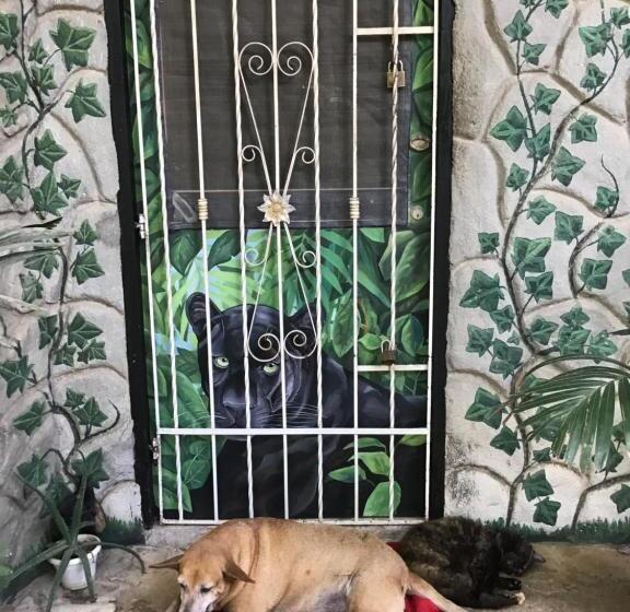 פנסיון Casa Bella