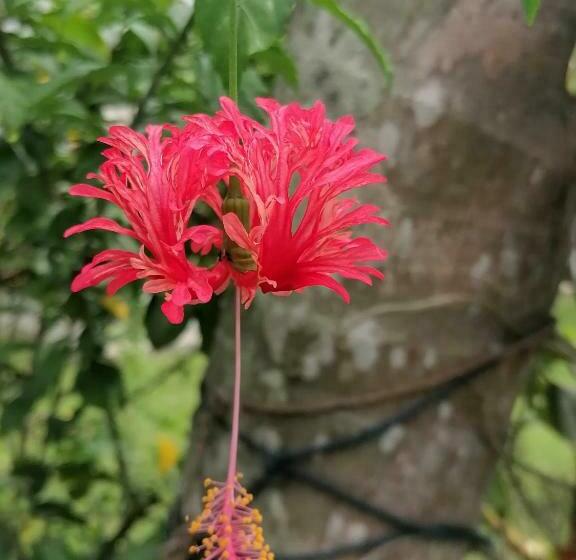 بنسيون Villa Riverplace