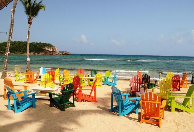 Bolongo Bay Beach Resort All Inclusive