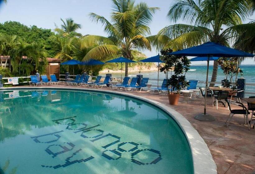 Bolongo Bay Beach Resort All Inclusive