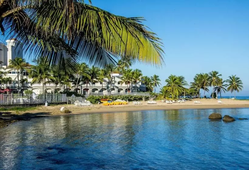 هتل Aquarius Vacation Club At Dorado Del Mar