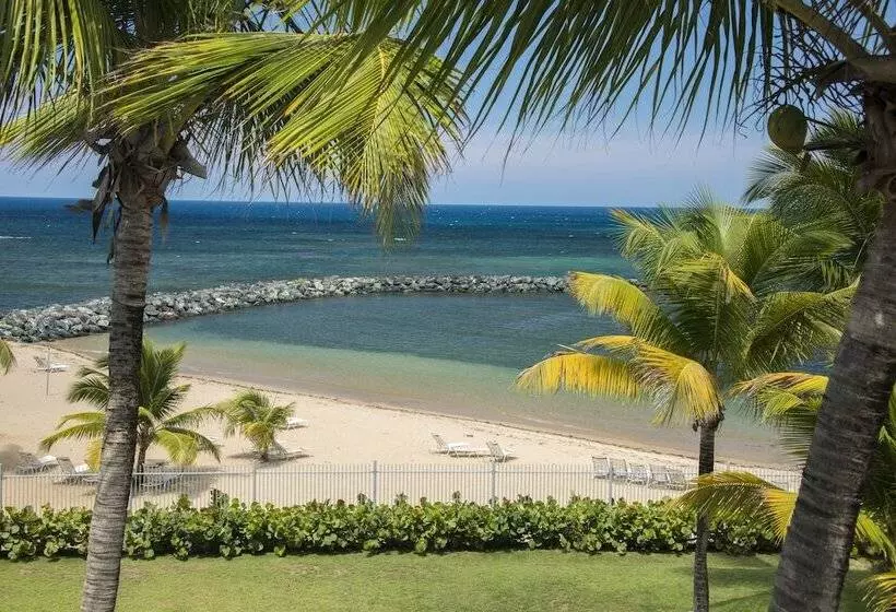 هتل Aquarius Vacation Club At Dorado Del Mar