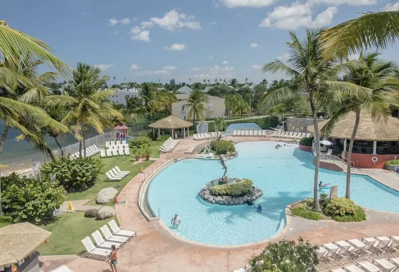 هتل Aquarius Vacation Club At Dorado Del Mar