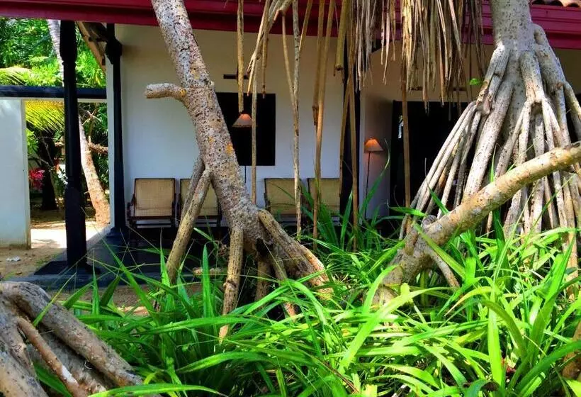 هتل Shehani Beach Bungalow