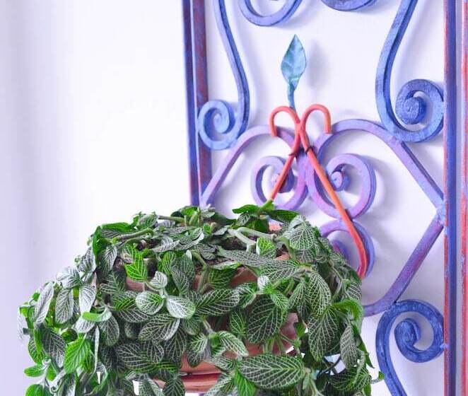 Casa Hotel Jardin Azul