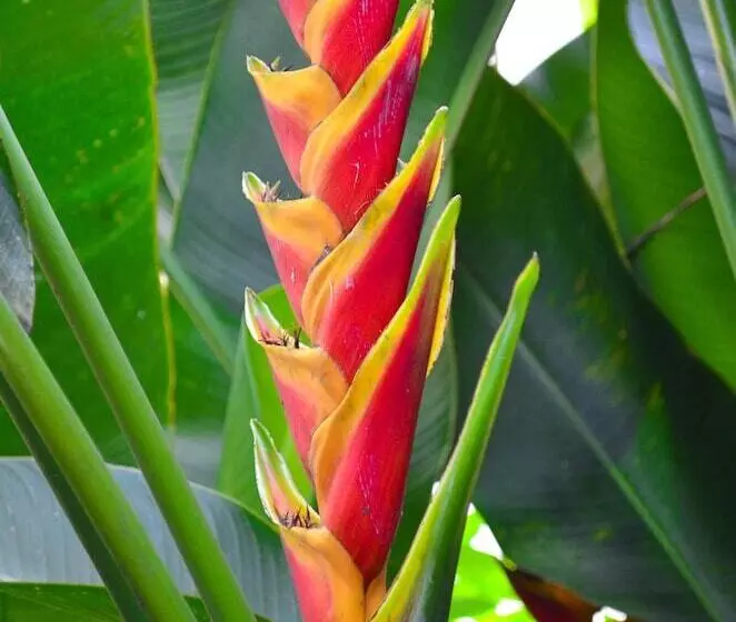 Casa Hotel Jardin Azul