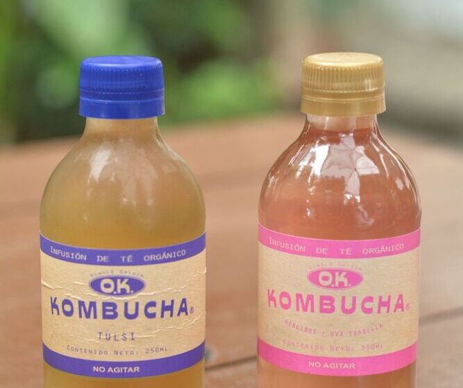 Casa Hotel Jardin Azul