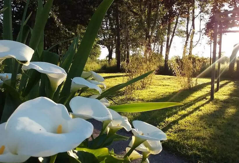 Отель Auberge Du Moulin D Audenfort Guest House