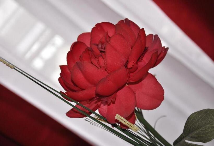 فندق Authentic By Balladins, Hôtel Le Carré D Aix