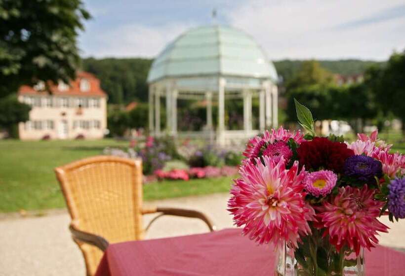 Badhotel Bad Brückenau