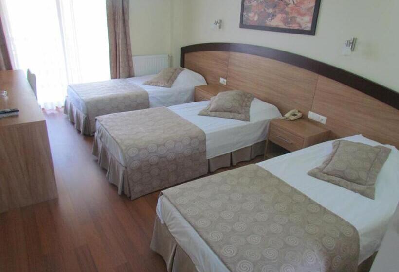 בית מלון כפרי Berksoy