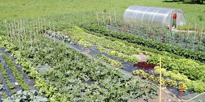 호텔 Comtes De Challant Albergo Etico Valle D Aosta