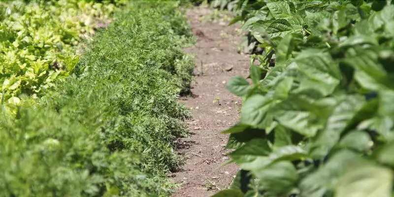 호텔 Comtes De Challant Albergo Etico Valle D Aosta