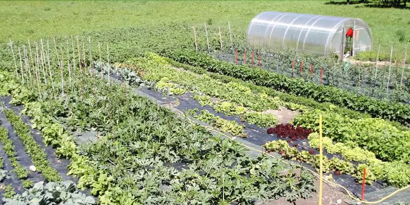 호텔 Comtes De Challant Albergo Etico Valle D Aosta