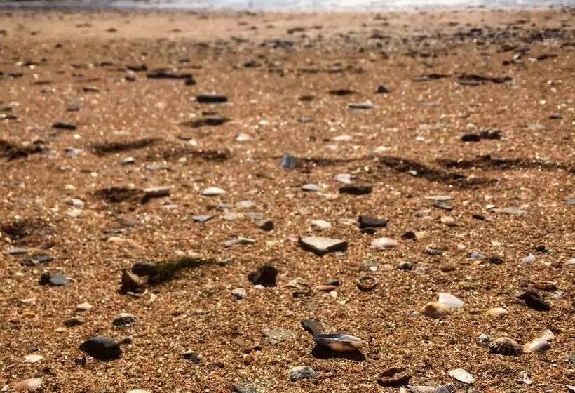 酒店 Dunbrody Country House