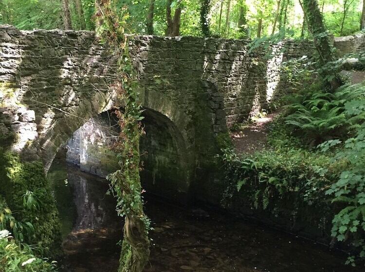 בית מלון כפרי Dunbrody Country House