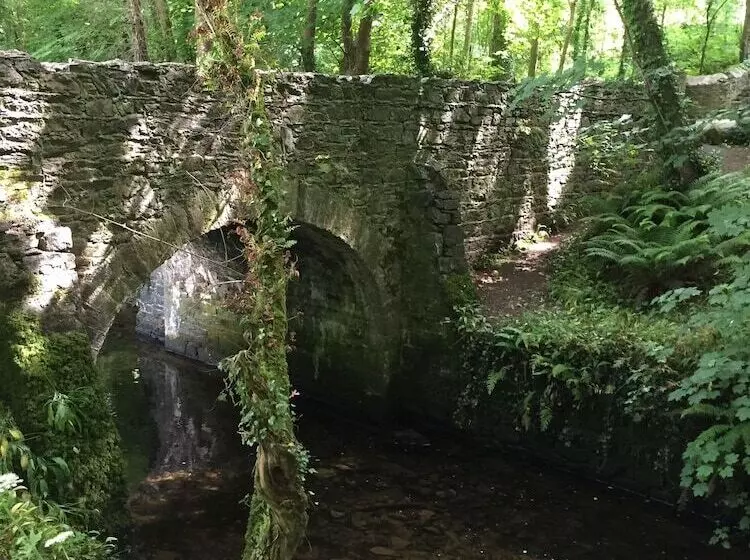 酒店 Dunbrody Country House