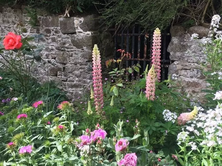 酒店 Dunbrody Country House