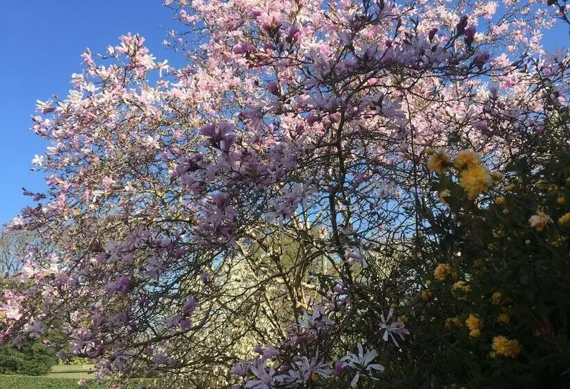 酒店 Dunbrody Country House