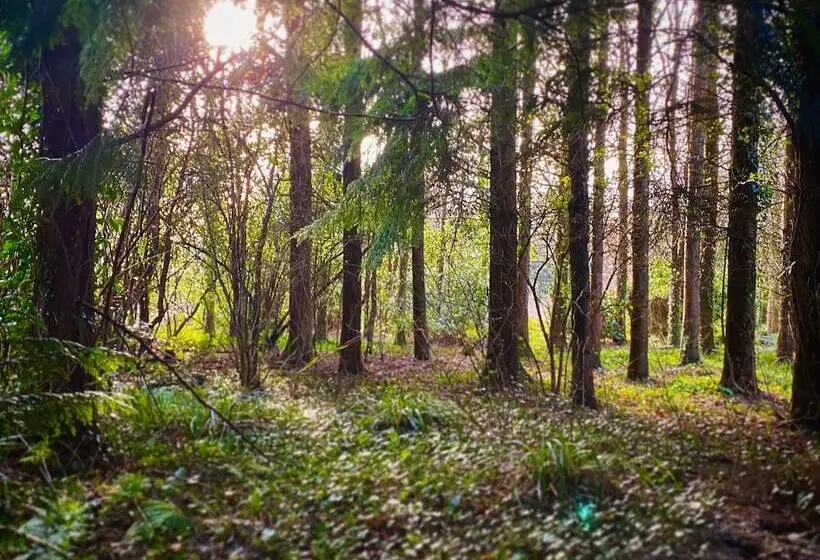 酒店 Dunbrody Country House