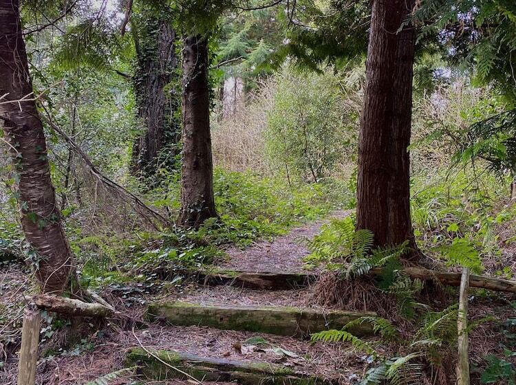 בית מלון כפרי Dunbrody Country House