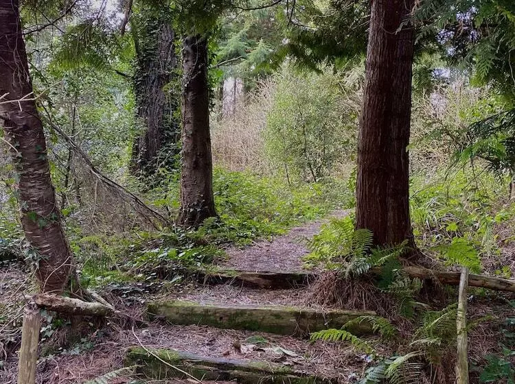 酒店 Dunbrody Country House