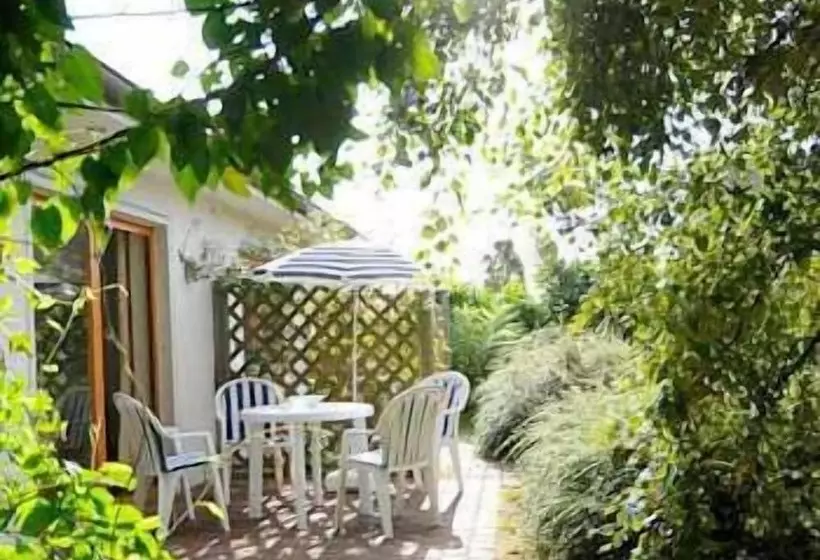 Отель Gastehaus Luv Und Lee