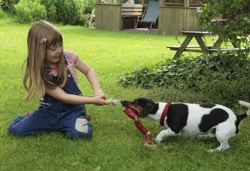 Отель Gastehaus Luv Und Lee