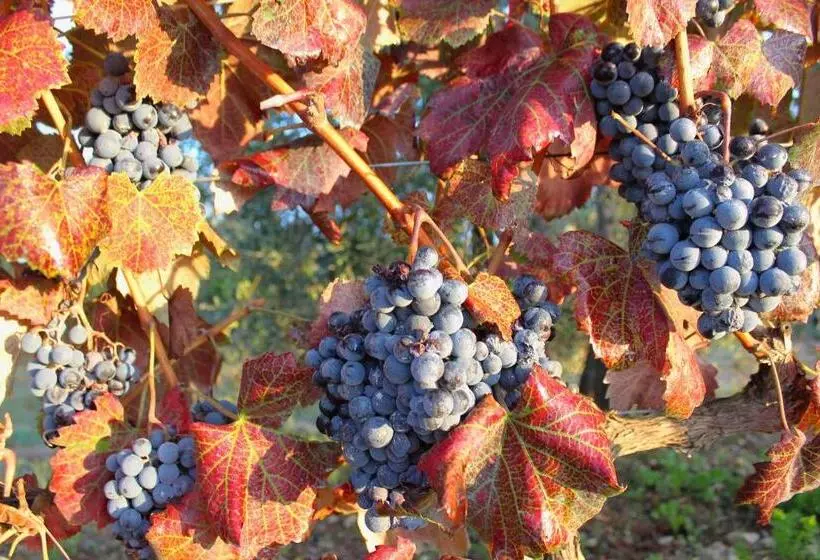 Отель Locanda Le Piazze