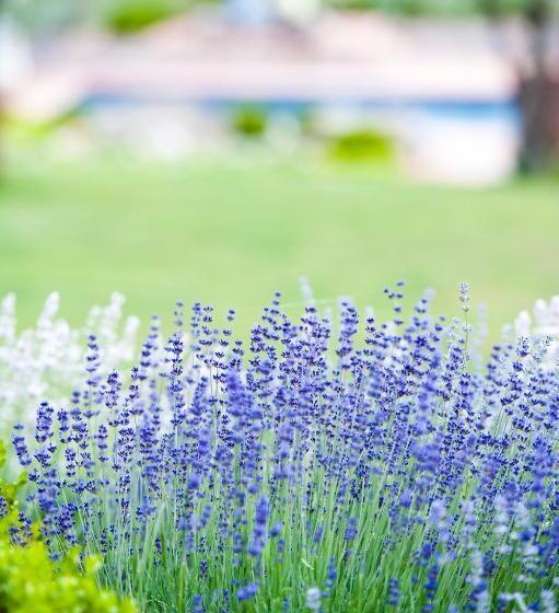 호텔 Locanda Le Piazze