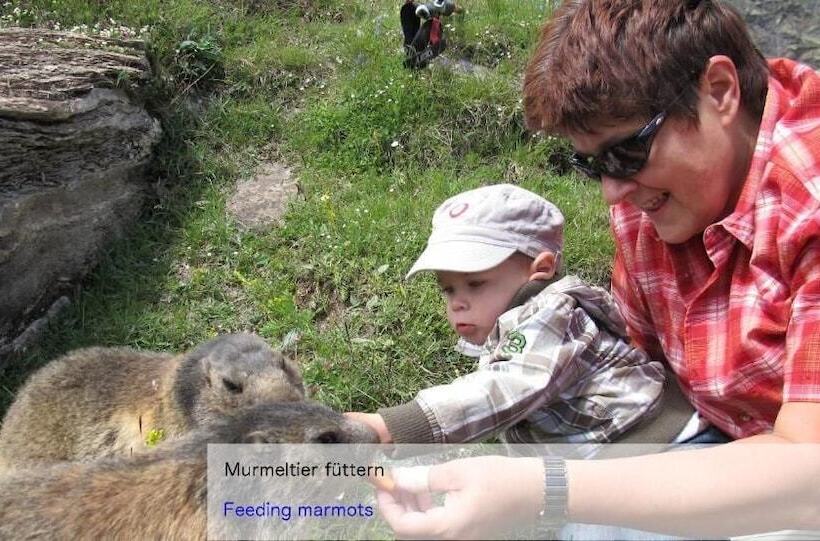 Отель Restaurant Mattmarkblick