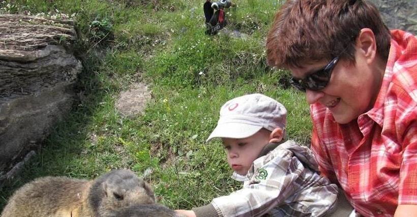 Отель Restaurant Mattmarkblick