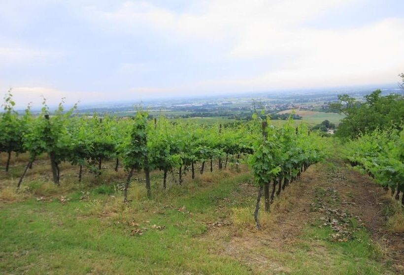 Agriturismo Gaggioli Borgo Delle Vigne
