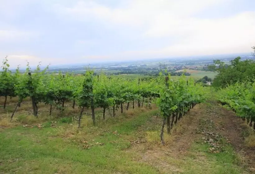 Agriturismo Gaggioli Borgo Delle Vigne
